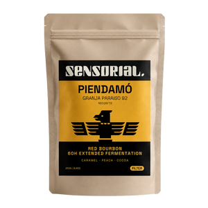 Coffee from Cauca Red Bourbon / 60 H Fermentation Washed