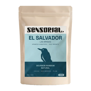 Coffee from El Salvador Bourbon Rainbow / Natural