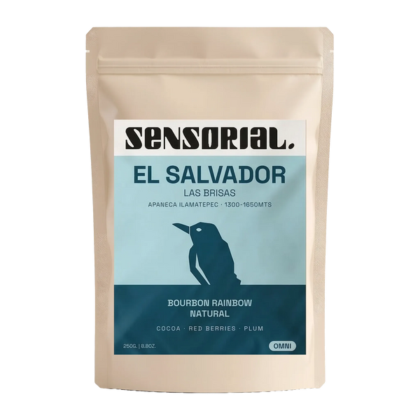 Café du Salvador Bourbon Rainbow / Nature