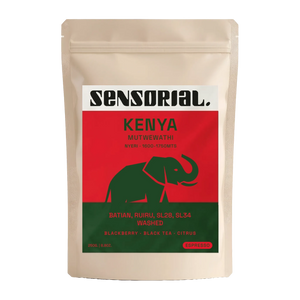 Coffee from Kenya Batian, Ruiru, SL28, SL34 / Washed