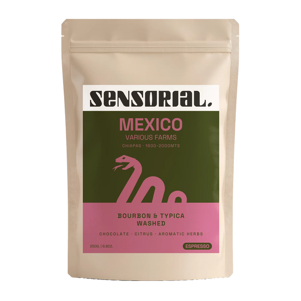 mexico-bourbon-typica