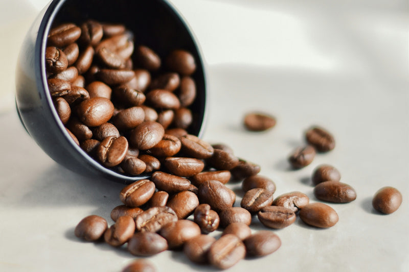 ¿Café filtrado o café espresso?