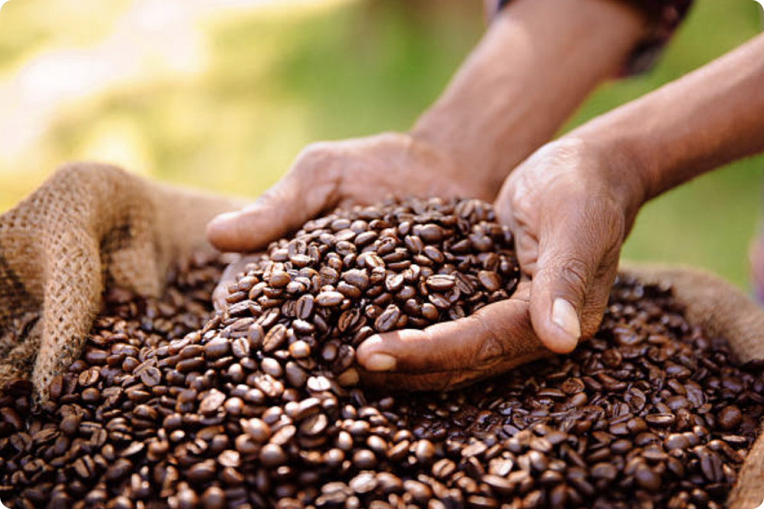 comprando café de Ethic Hub