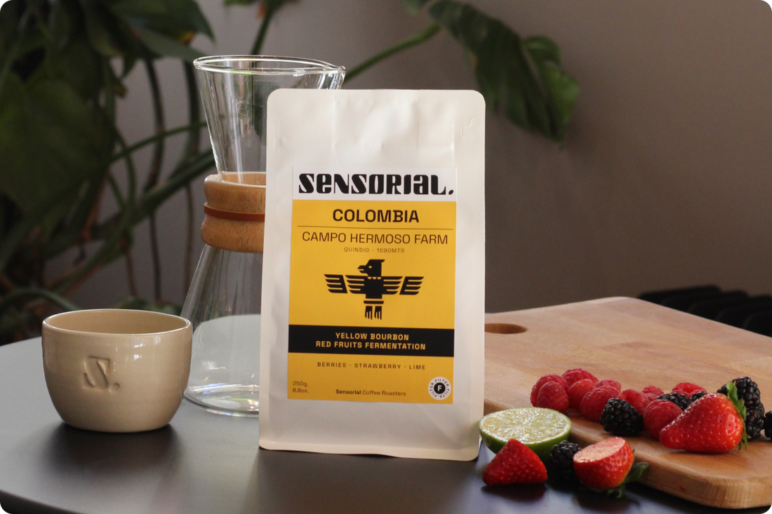regalos para amantes del café