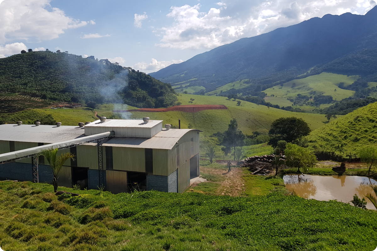 Sostenibilidad en las fincas