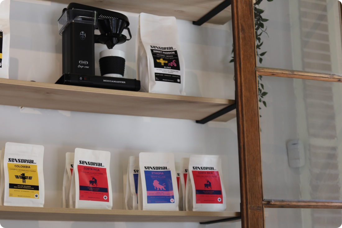 Cómo elegir la cafetera ideal según tus preferencias