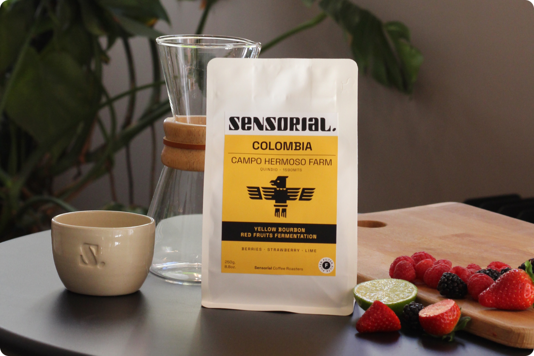 ¿Qué es el café tostado para filtro?