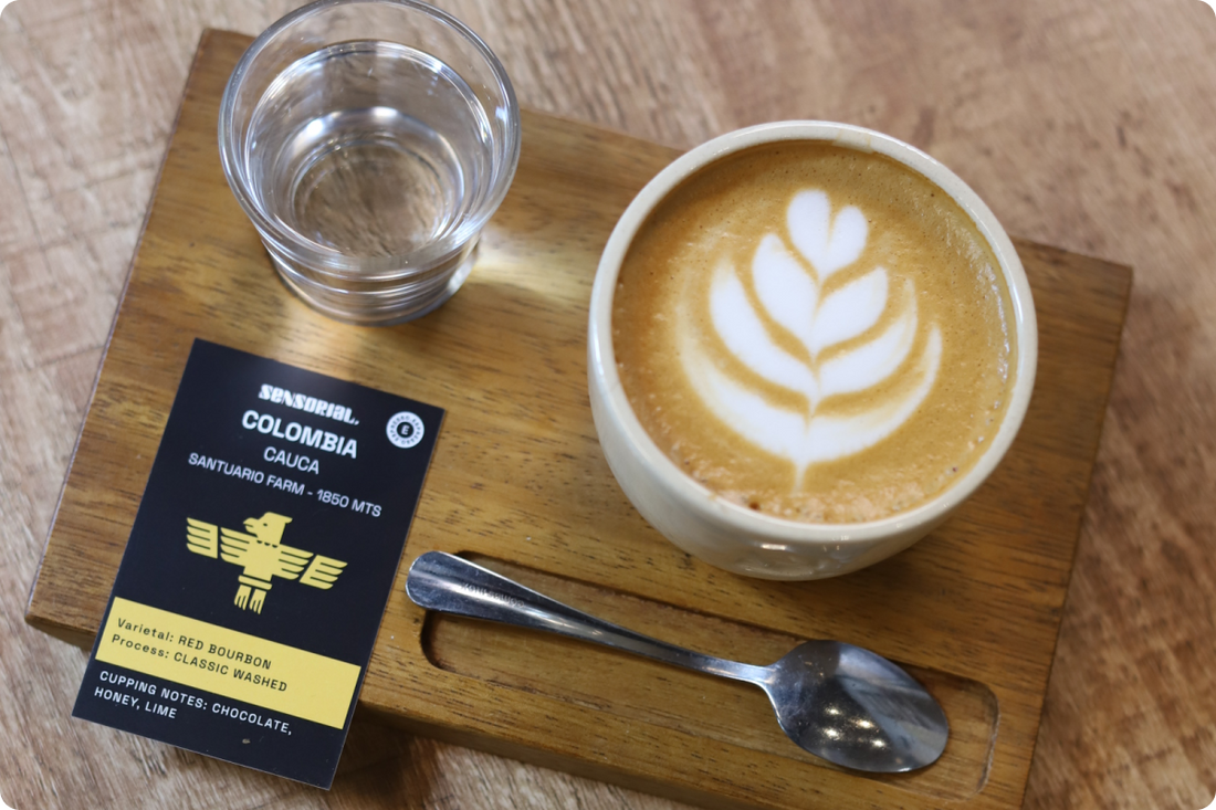 ¿Qué es el café tostado para filtro?