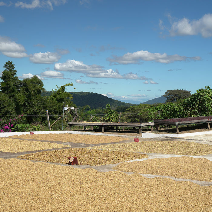 San Carlos Estate