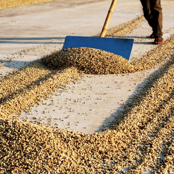 Domaine Santuario