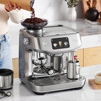 The Oracle Jet Sage · Inox 4