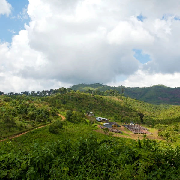 Village Gesha