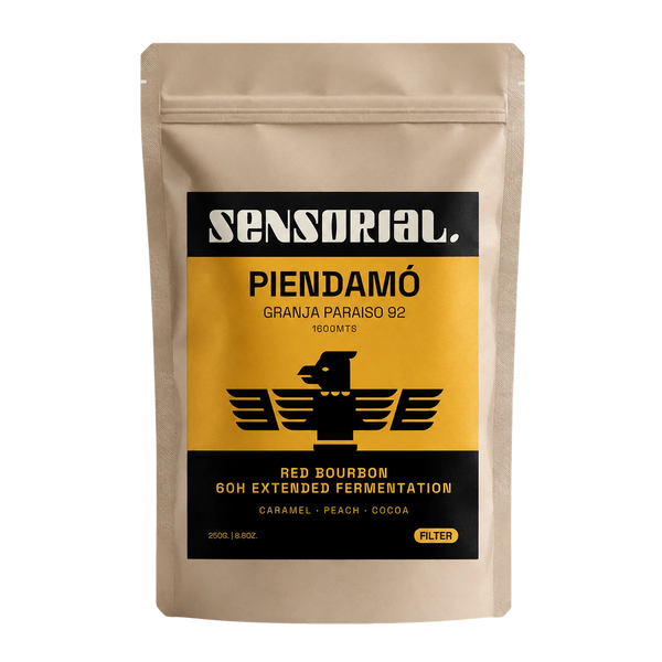Coffee from Cauca Red Bourbon / 60 H Fermentation Washed