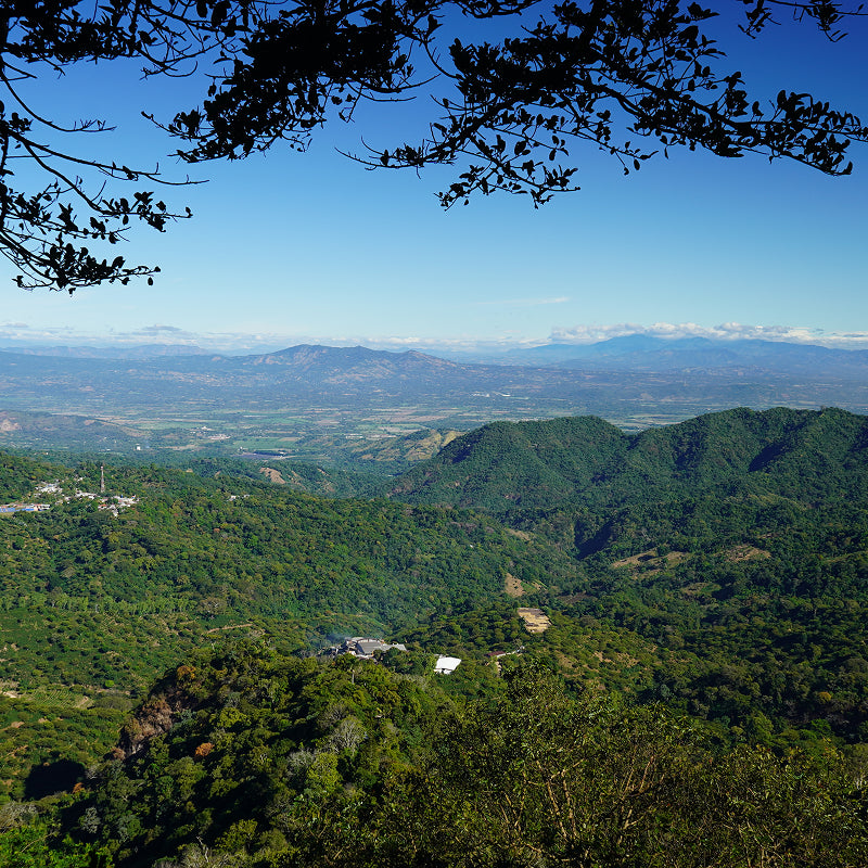 Caf&eacute; de El Salvador