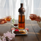 Hario Botella Cold Brew con filtro marrón