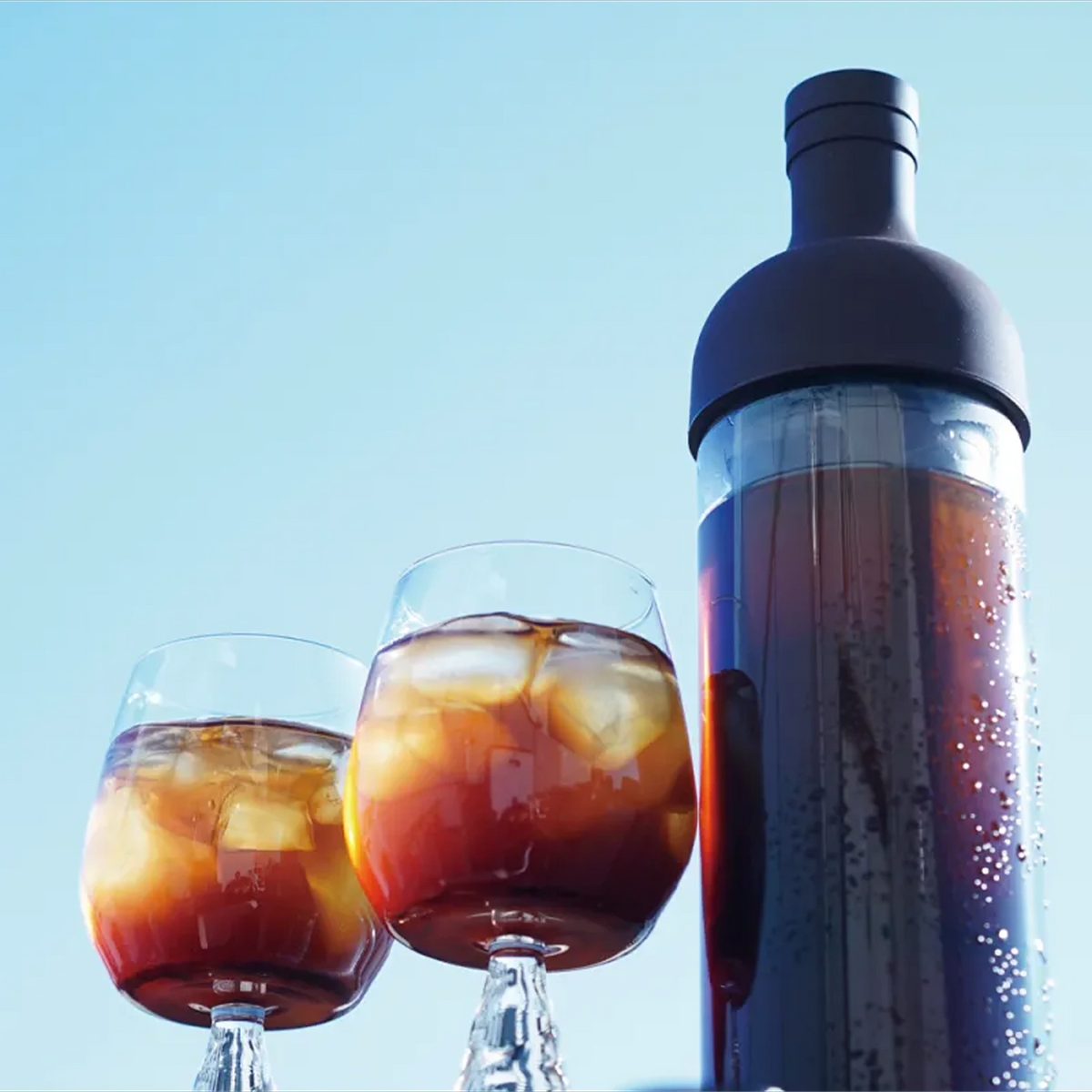 Hario Botella Cold Brew con filtro negro