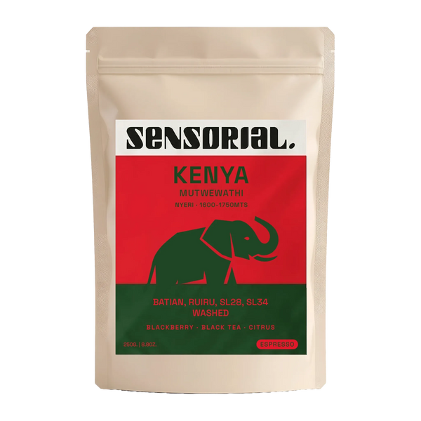 Coffee from Kenya Batian, Ruiru, SL28, SL34 / Washed