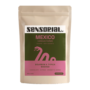 Coffee from Mexico Bourbon-Typica / Washed