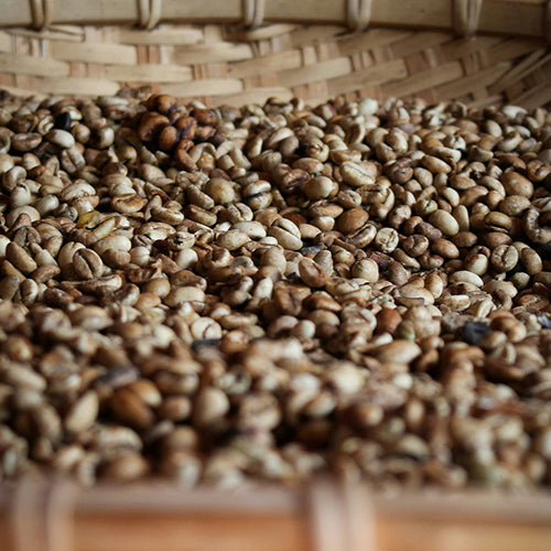 Process du café