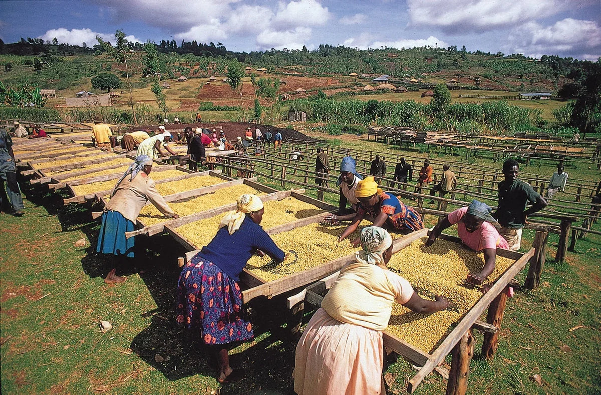 Mutwewathi
