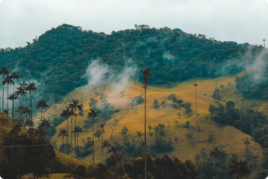 colombia