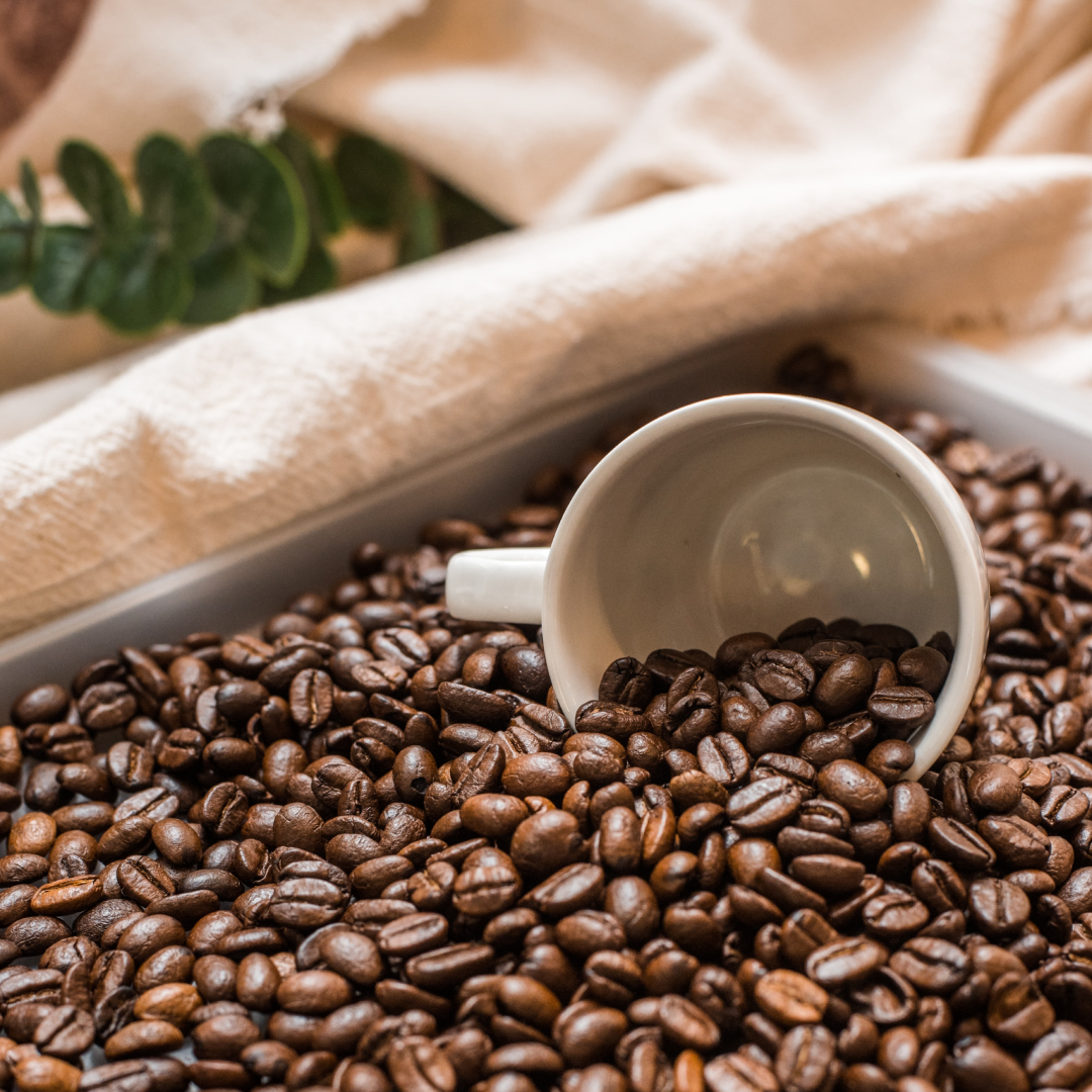 café en grano sensorial coffee