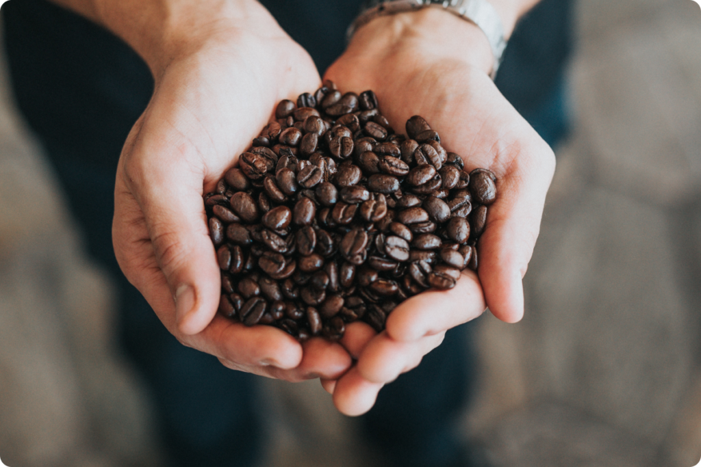 granos de café diferenciar