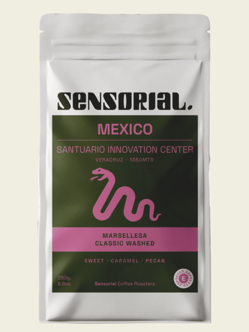 specialty-coffee-mexico