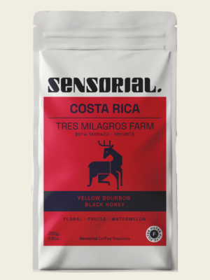 specialty-coffee-colombia-cc