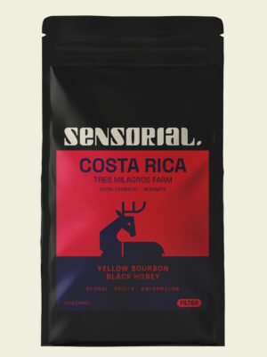 Café de especialidad de Costa Rica, café en grano