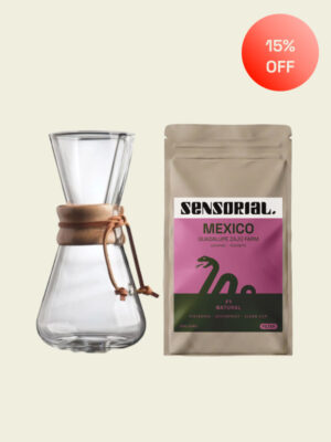 pack chemex with filter coffee