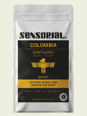 specialty coffee