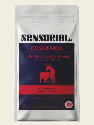 specialty-coffee-costarica-rb