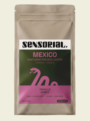 café de especialidad en grano de mexico