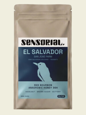 café de especialidad de el salvador