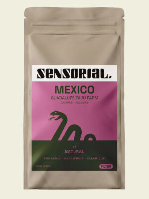 café de especialidad de mexico