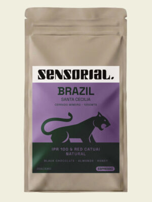 café de especialidad de brasil