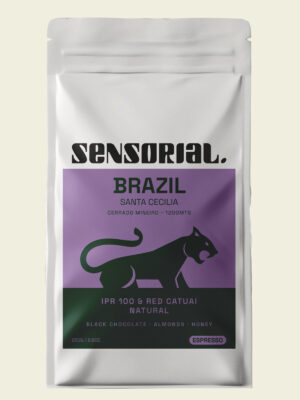 café de brasil, café de especialidad en grano