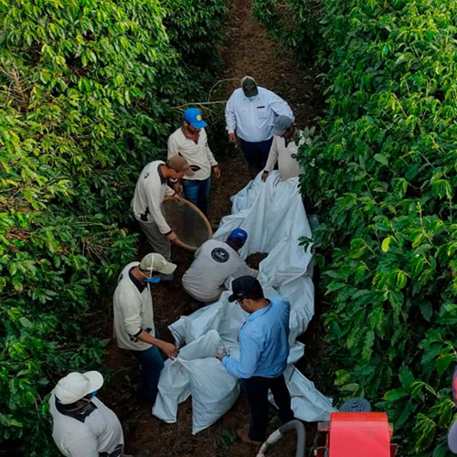 finca santa cecilia