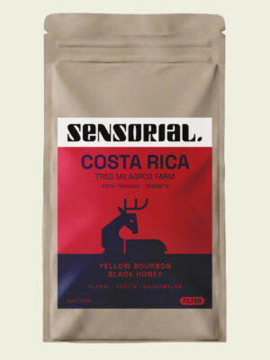 café de especialidad de kenya