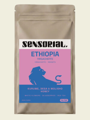 café de especialidad de ethiopia