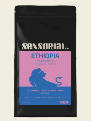 café de ethiopia, café de especialidad en grano o filtro
