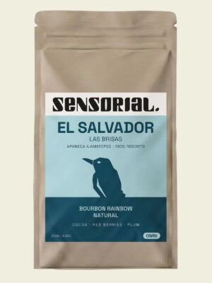 cafe el salvador las brisas