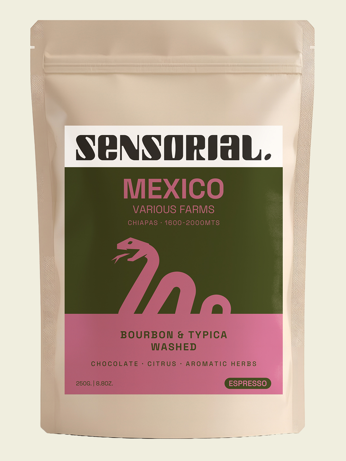 cafe de mexico bourbon tipica